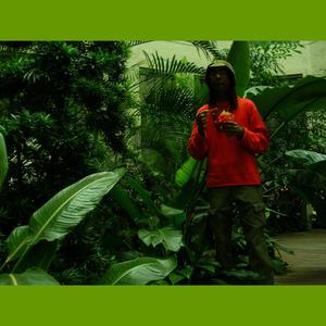 Tribal House Umm Umm Umm