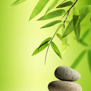 《城市晨光中的宁静之约》