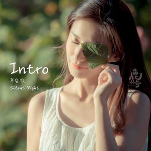 Intro 平安夜 (Silent night)