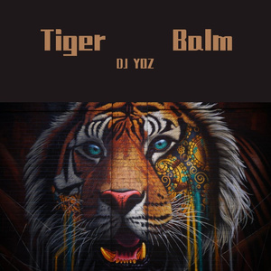 Tiger Balm（DJ YOZ remix）