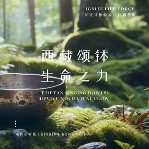 颂钵合一 森林自然