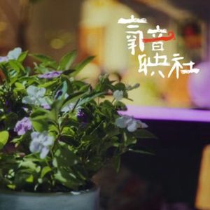 茉莉花・F