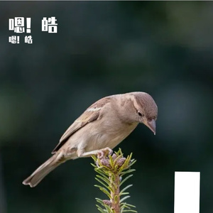 分不清爱你_[cut_159sec]