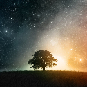Eternality