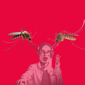 蚊子嗡嗡嗡嗡嗡嗡嗡嗡嗡嗡嗡嗡嗡嗡嗡