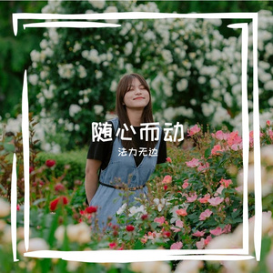 随心而动