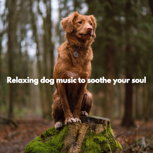 Fashionable Music for Background Music