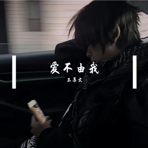 爱不由我