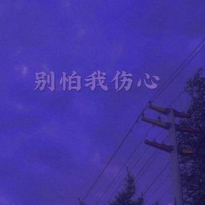 别怕我伤心（一颗爱你的心）