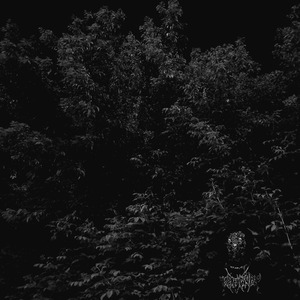 THE SERVER IS UNAVAILABLE