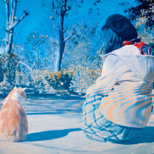 ネコの歌