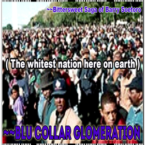 Bittersweet Saga of Barry Soetoro