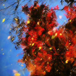 Beat“镜花水月”中国风R&B x 小径里 周杰伦x依加 #节奏玩家5