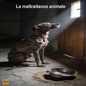 La maltraitance animale