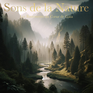 Son de Fond de Cheminée Évocateur de Trois Minutes