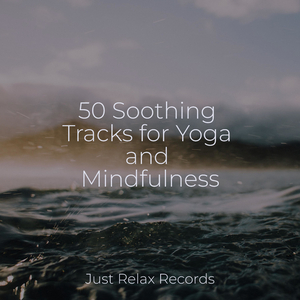 Electric Pulse Ignites