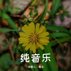 亮剑BGM(大提琴)