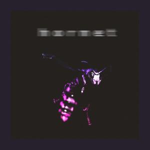 Hornet