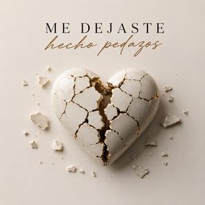 Me Dejaste Hecho Pedazos
