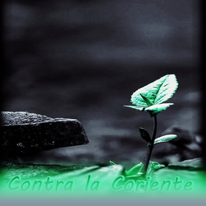 Los cuentos de hadas son bien ciertos, pero no porque nos digan que los dragones existen sino porque nos dicen que podemos vencerlos