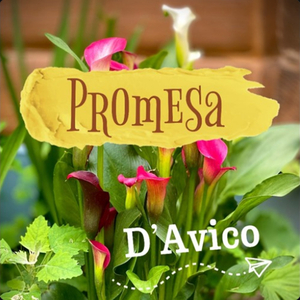 Promesa