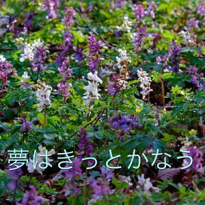 夢はきっとかなう