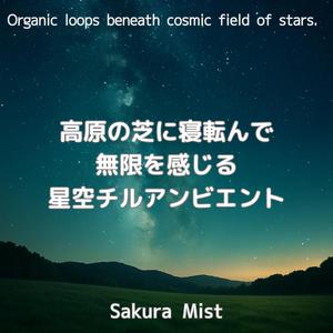 草上の影が描くグルーヴ