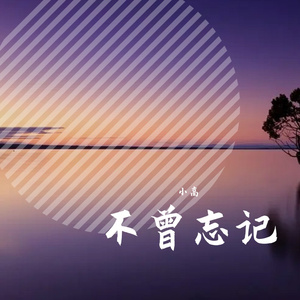 我也不曾忘记你