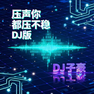 压声你都压不稳 (DJ版)