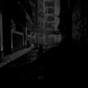 獨白者與他的十二平米