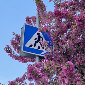 Узун чажы кыланнаан