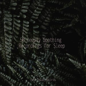 Echoes of Springtime's Song