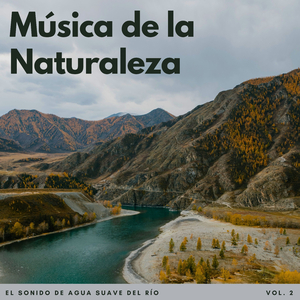 Transmitir Gorgoteos