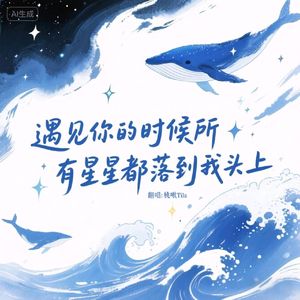 遇见你的时候所有星星都落到我头上