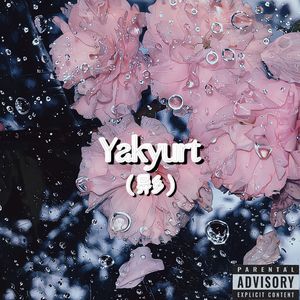 YakYurt(异乡）