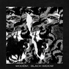 Modem - Black Widow