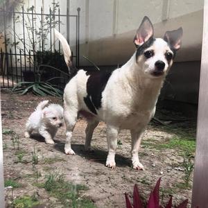 Gettem (feat. K-Rino)