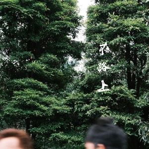 不要停止我的音乐