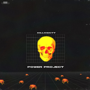 Power Project