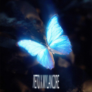 Лето x MYLANCORE