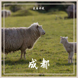 成都-零点