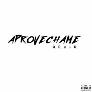 Aprovechame (feat. Keik La Imparable', Jay El Revelde, the Chosen One, Nico Melody, Atenas Lima, Marie, Niko La Fuerza) [Remix]