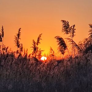 怀念那失去的青春