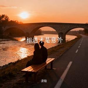 相遇才是意外 (Cover 挞挞)