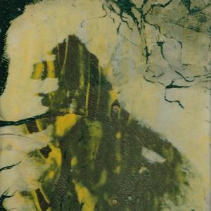 Quartet Session N˚1.1