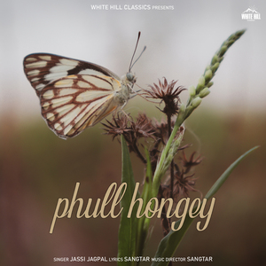 Phull Hongey