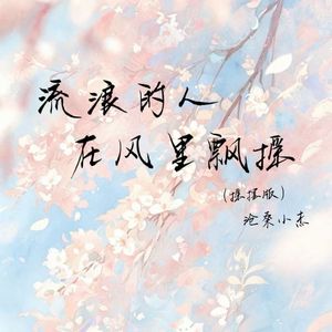 流浪的人在风里飘摇(摇摆版)