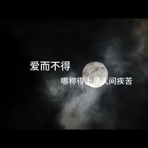 唯独你不懂我喜欢你