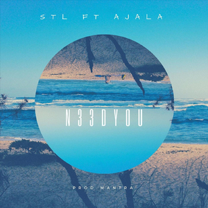 N33d You (feat. Ajala)