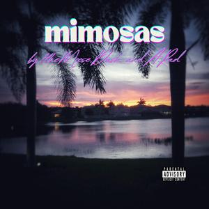 Mimosas (feat. Dusk & A. Rad)